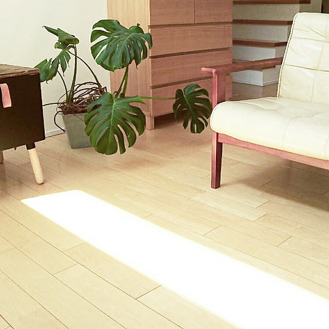 sa-さんの実例写真