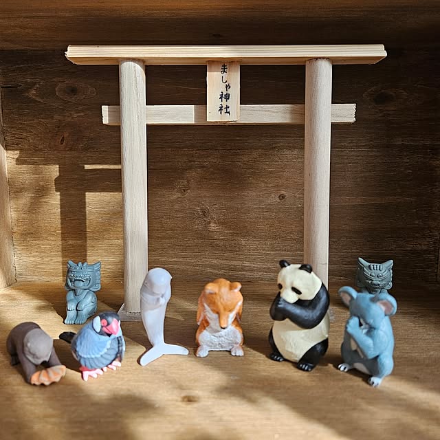 mayumiさんの部屋