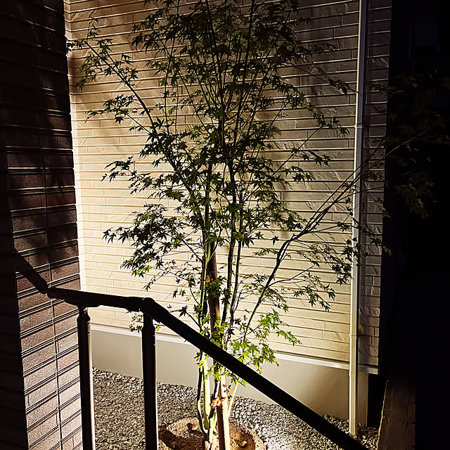 sakusakuさんの部屋