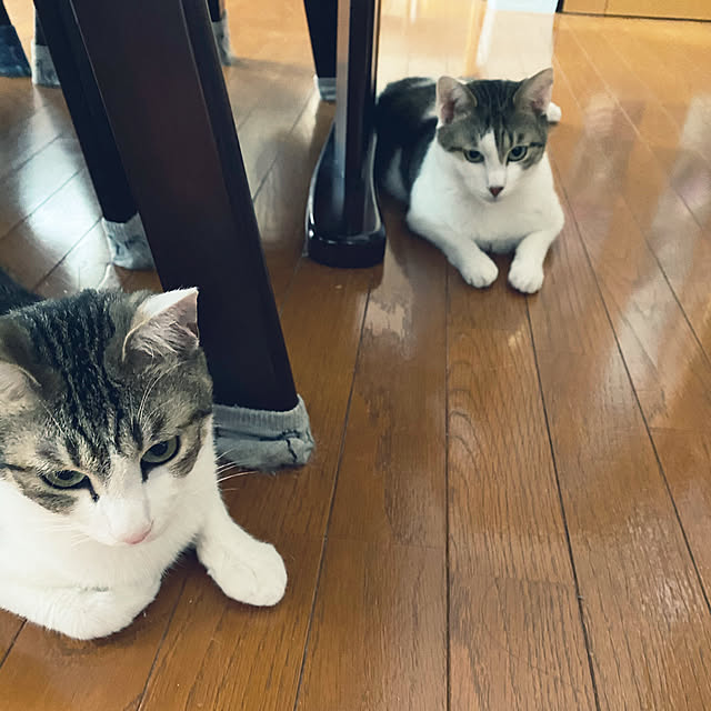 Lufuさんの実例写真