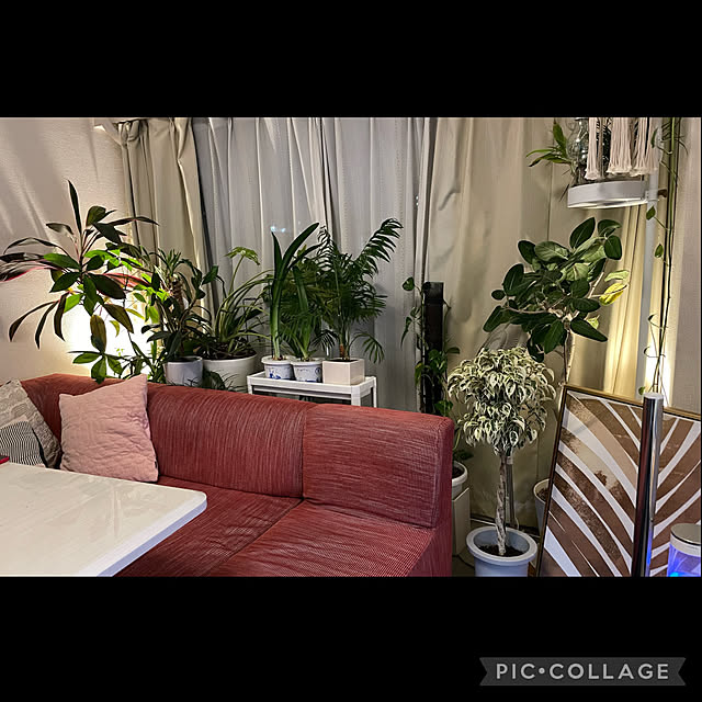 Emafuさんの部屋