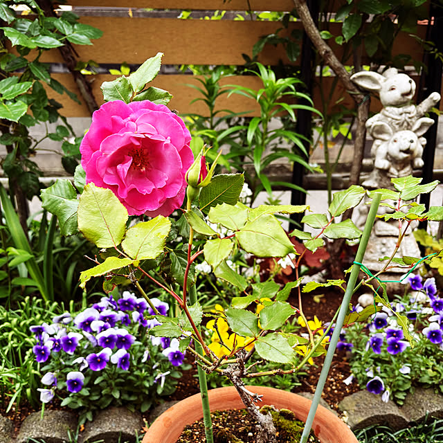 KYONさんの実例写真