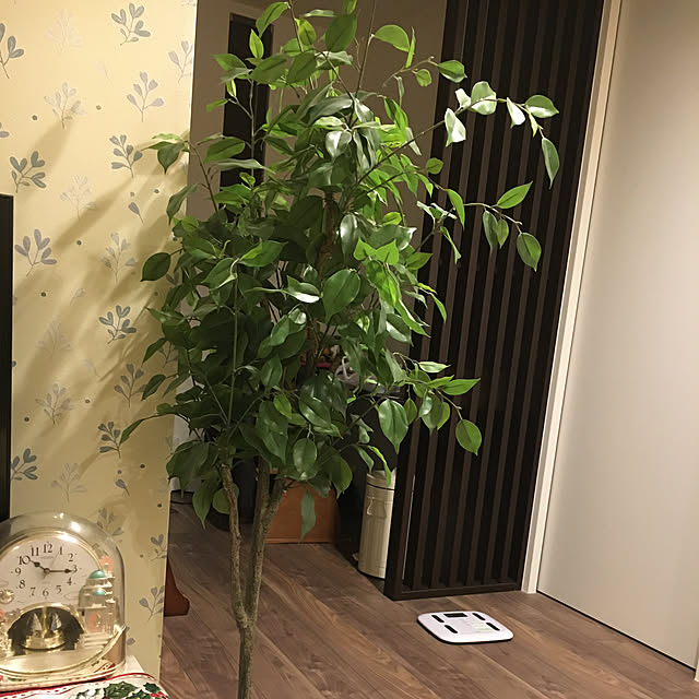 tomoさんの実例写真