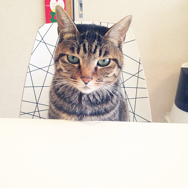 shigimiさんの実例写真