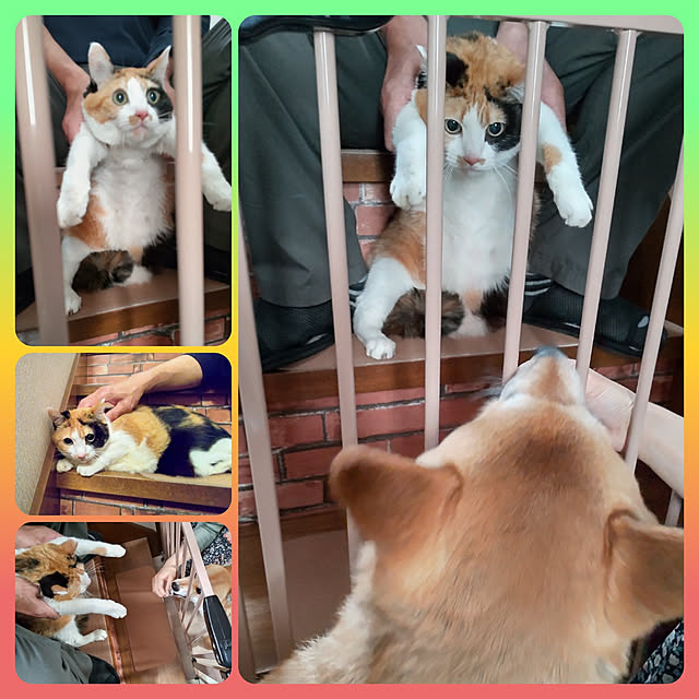 nanaさんの実例写真