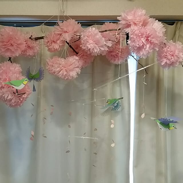 Satomiさんの実例写真