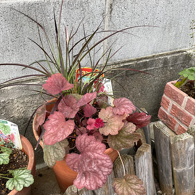 ukoさんの部屋