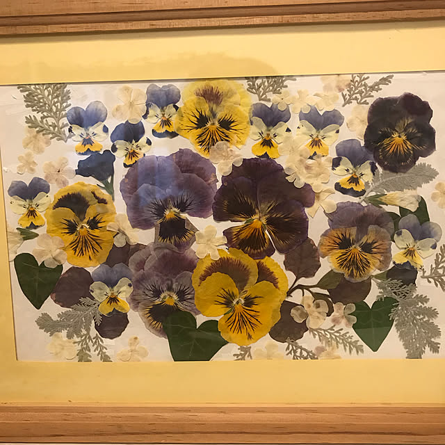 asako.10さんの実例写真