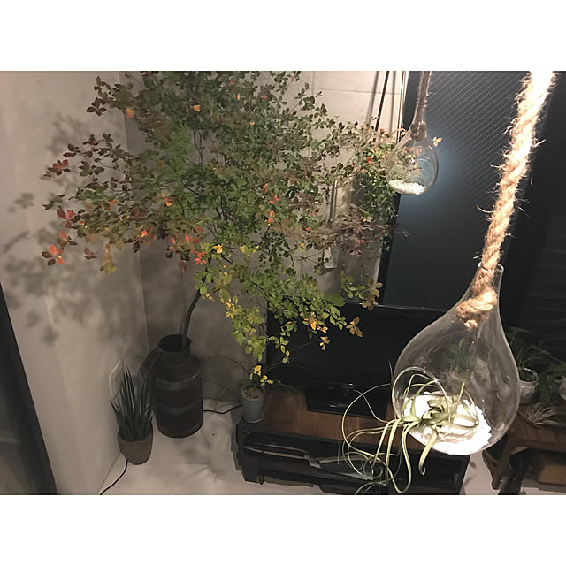 Shuheiさんの実例写真