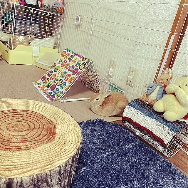 minikoさんの実例写真