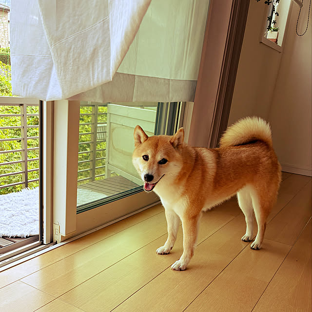 dmamaさんの部屋