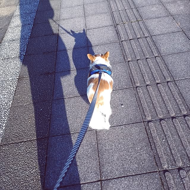 hiro-yさんの部屋