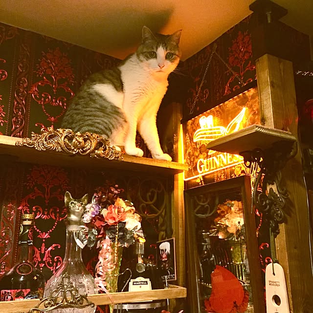 emmyyさんの実例写真