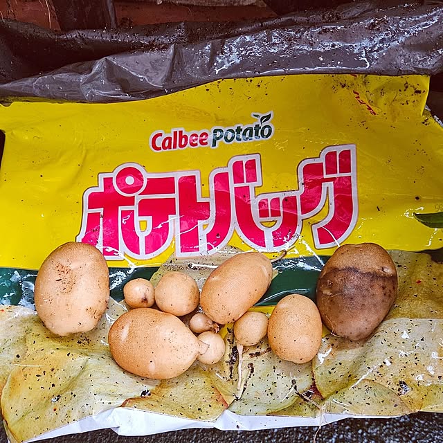 mocomocoさんの部屋