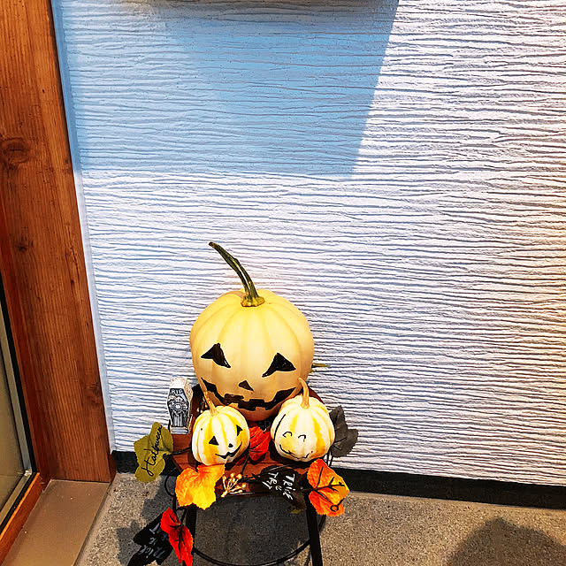 373springさんの実例写真