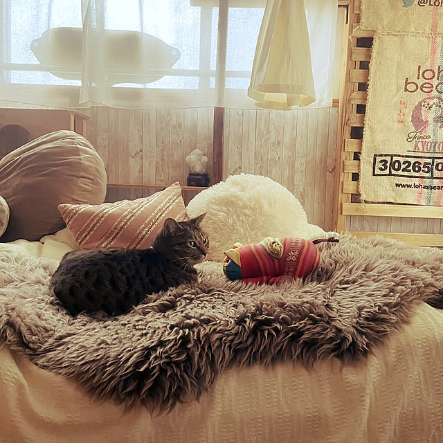 Mさんの部屋
