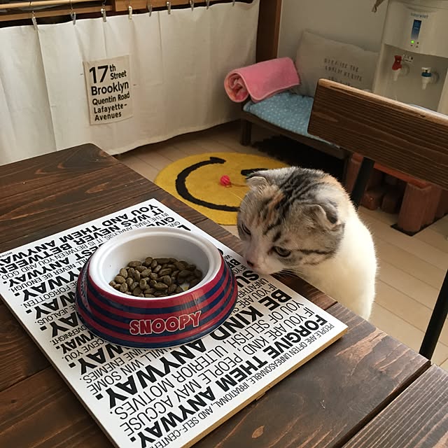 yokkochanさんの実例写真
