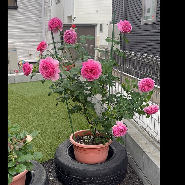Hさんの実例写真