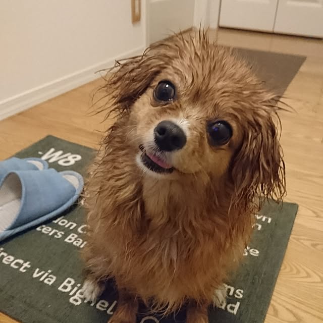 NATTUさんの実例写真