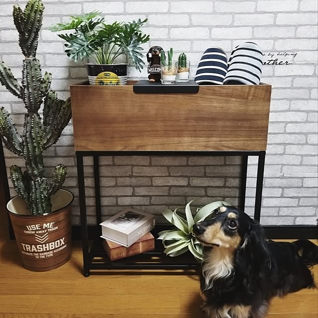 momozouさんの実例写真