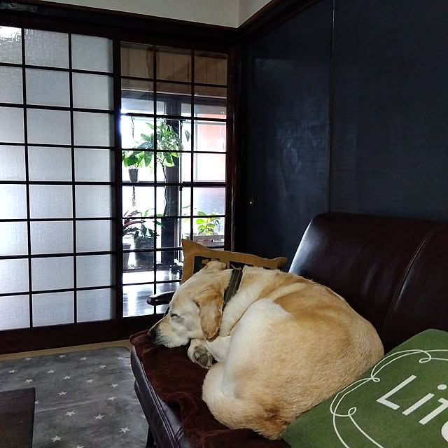 montomoさんの実例写真