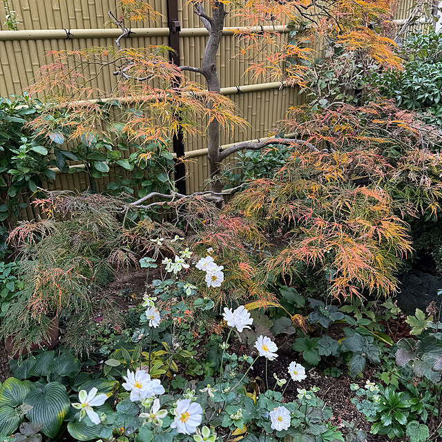 mamizaさんの部屋