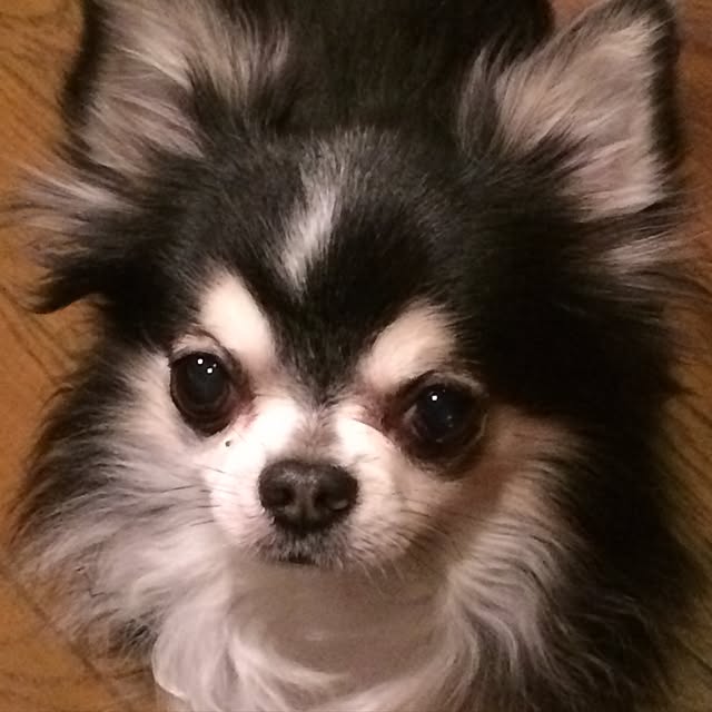 momoさんの実例写真