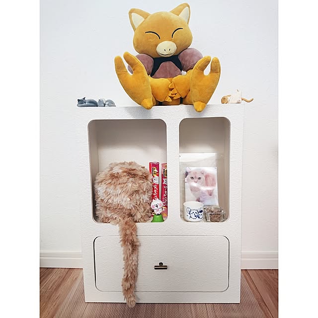 konatsuさんの部屋