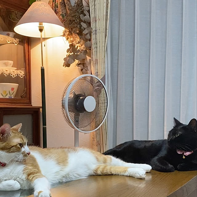 Satotanさんの実例写真