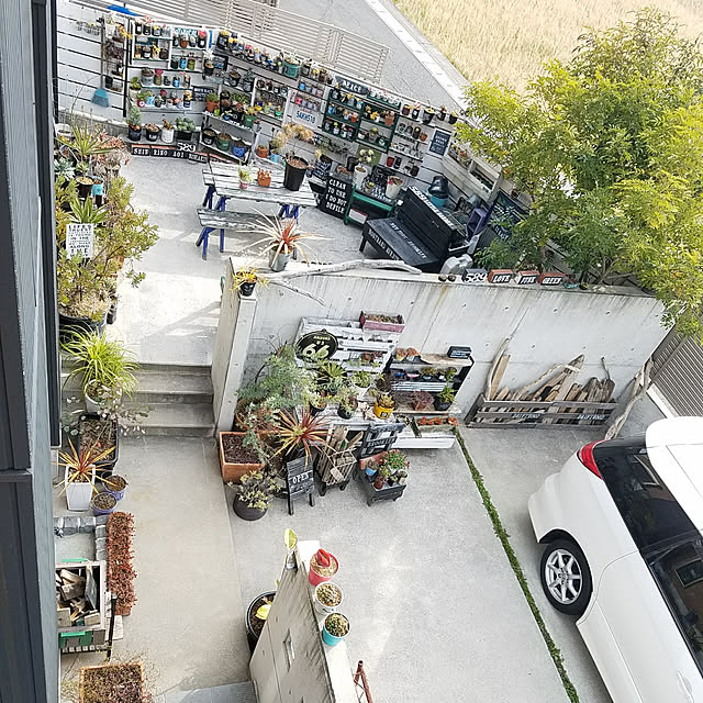 589littlegardenさんの実例写真