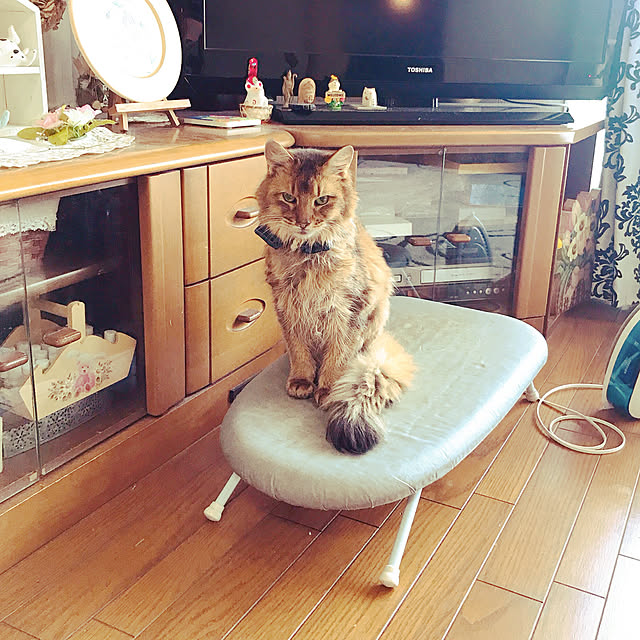 yukarinさんの実例写真