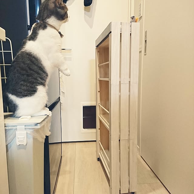 harusamensoupさんの実例写真