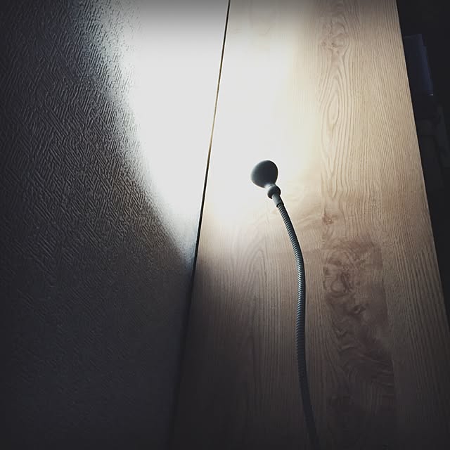 satoさんの実例写真