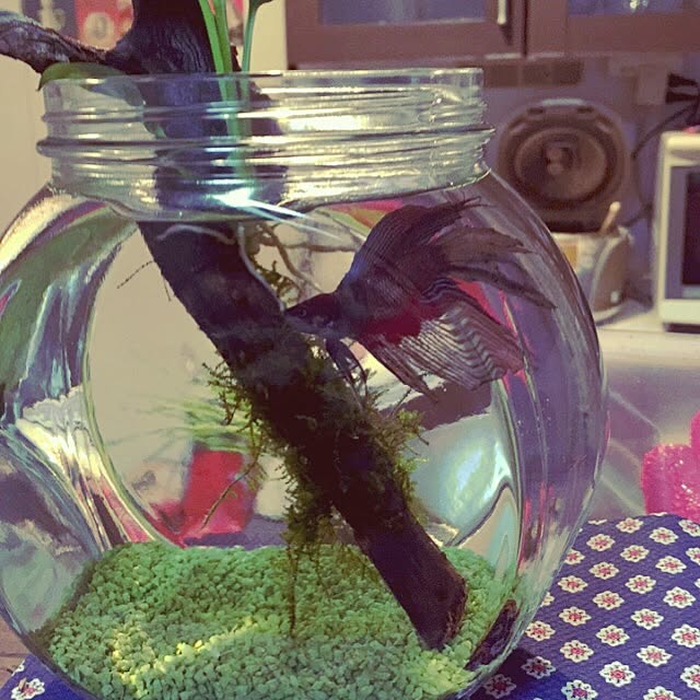MKroomさんの実例写真