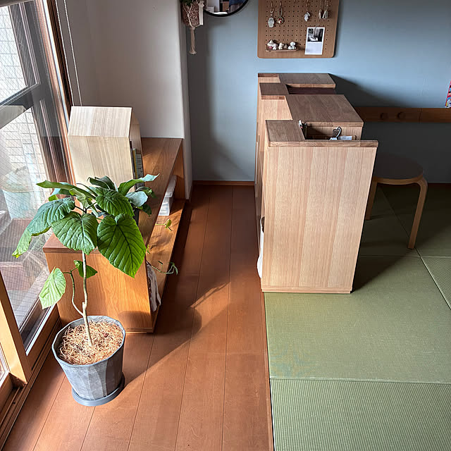 sakiさんの実例写真