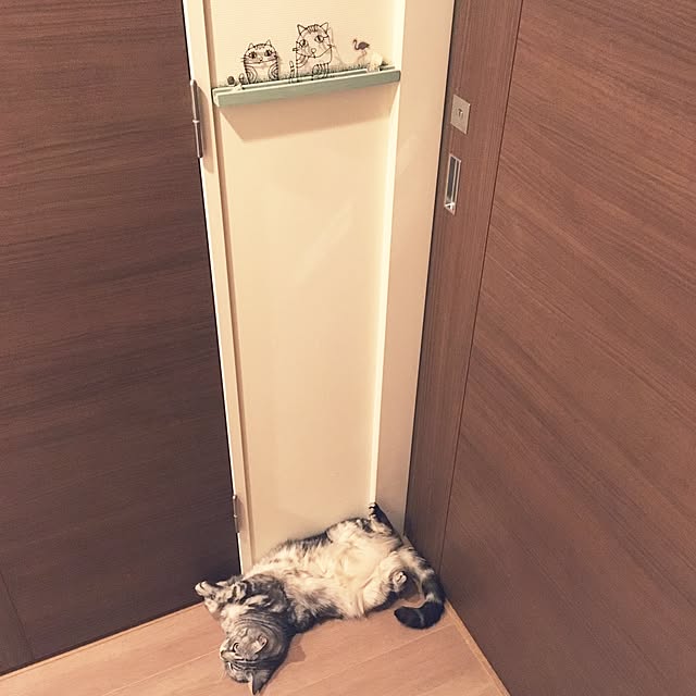 mikomaruさんの実例写真