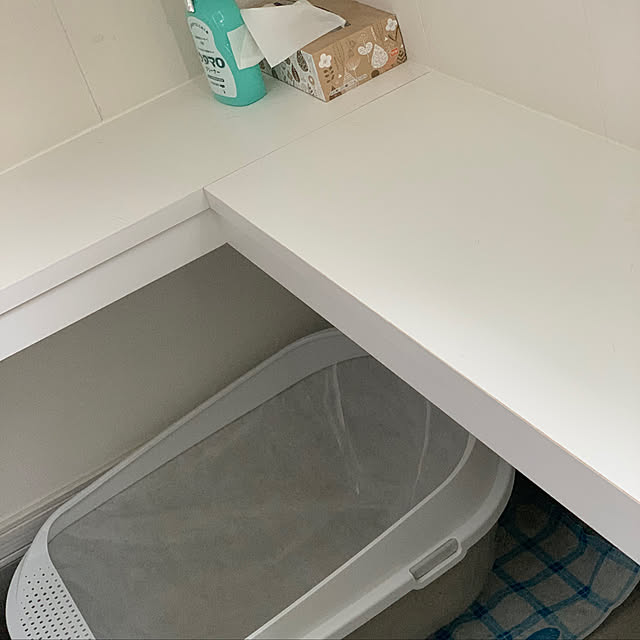 mikeume7さんの実例写真