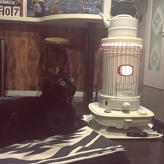 momocoさんの実例写真