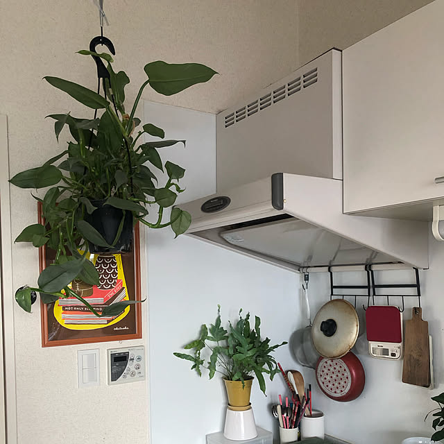 kayoさんの実例写真