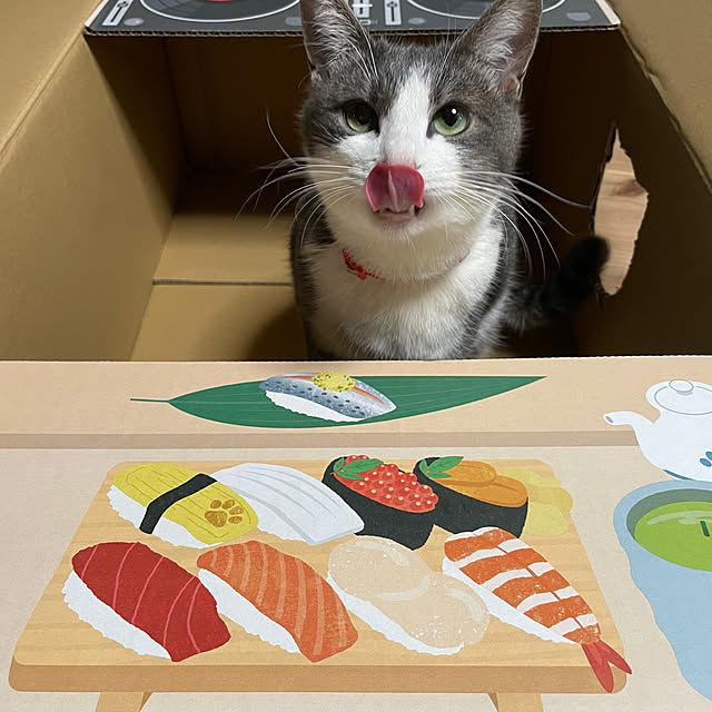 nekosamaさんの実例写真