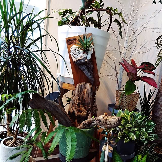 leeさんの実例写真