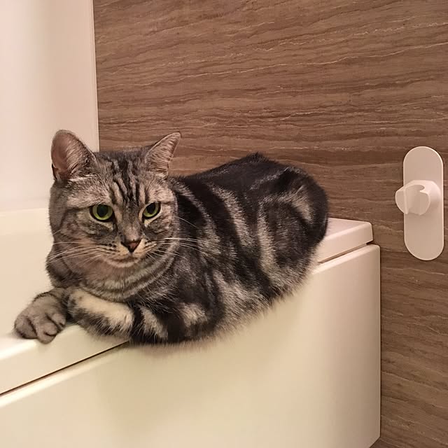 mikomaruさんの実例写真
