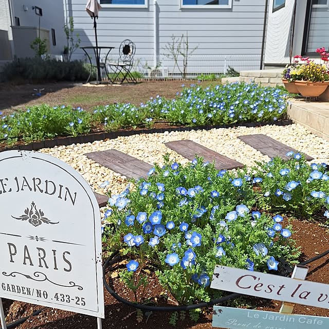 shiori.さんの実例写真