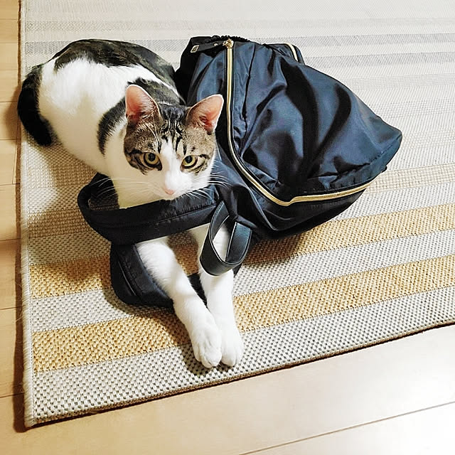 kirakirahikaruさんの実例写真