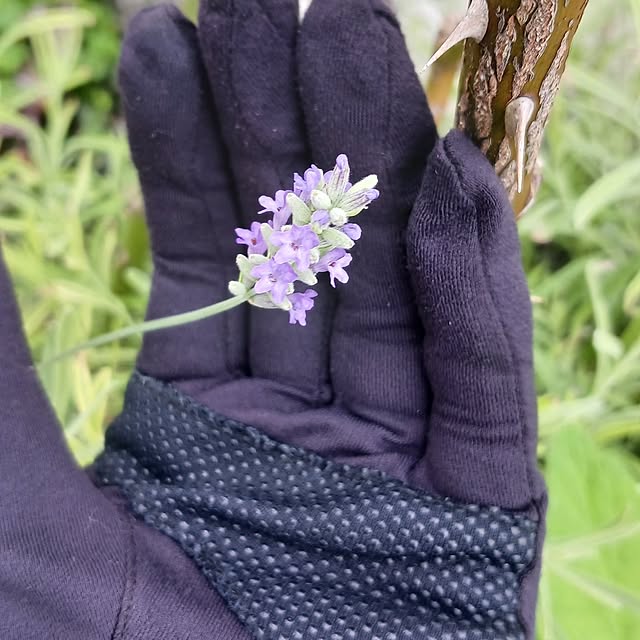 aiさんの部屋