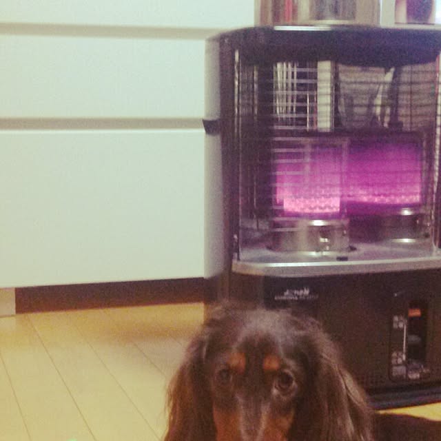 hiroさんの実例写真