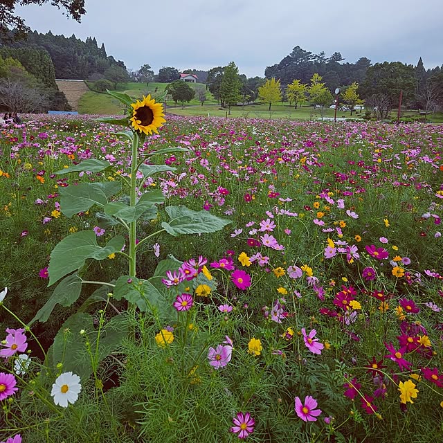 mocomocoさんの部屋