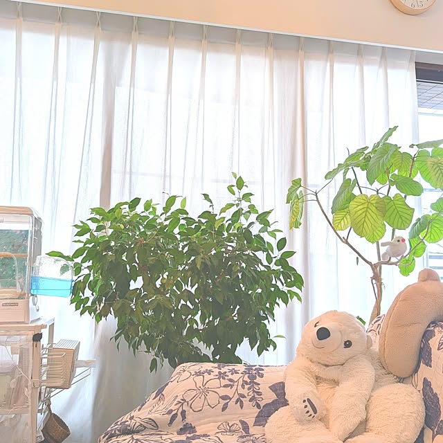Yoshi55goさんの実例写真