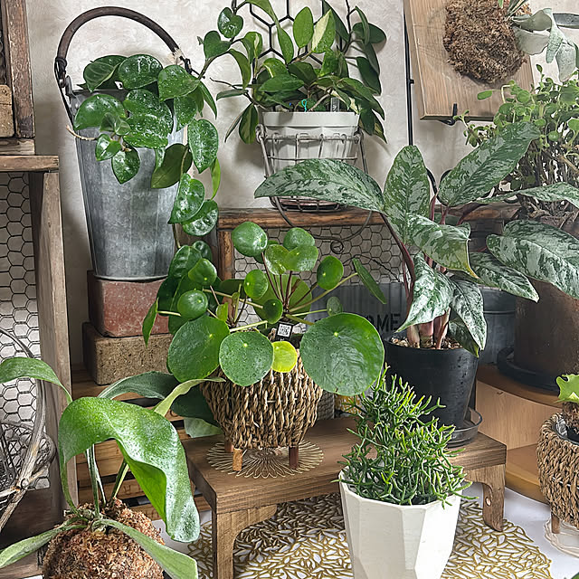 REI015mさんの部屋