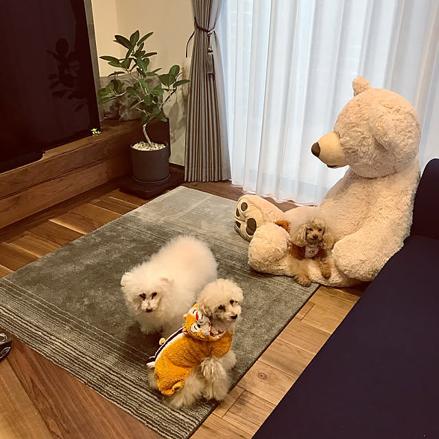 fuafuaさんの実例写真